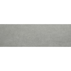 Colorker Neolitick Grey 31,6x100 rec