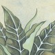 Codicer. Botanic Jade 25x25 antideslizante Efecto piedra Balinesa Codicer  Nusa Porcelánico Interior Piscinas Codicer