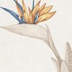 Codicer. Botanic Taupe 25x25 antidérapant effet pierre balinaise Codicer  Nusa Carrelage interieur Piecines Codicer
